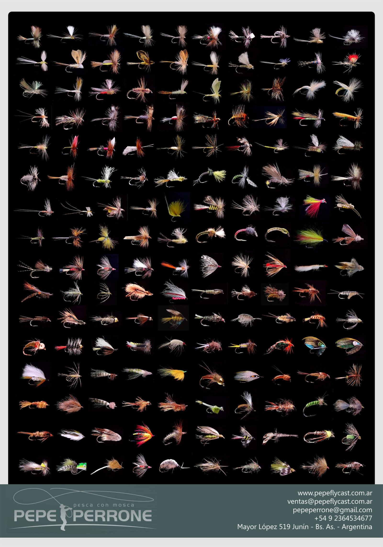 afiche 70x100.jpg scaled